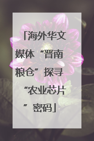 海外华文媒体“晋南粮仓”探寻“农业芯片”密码